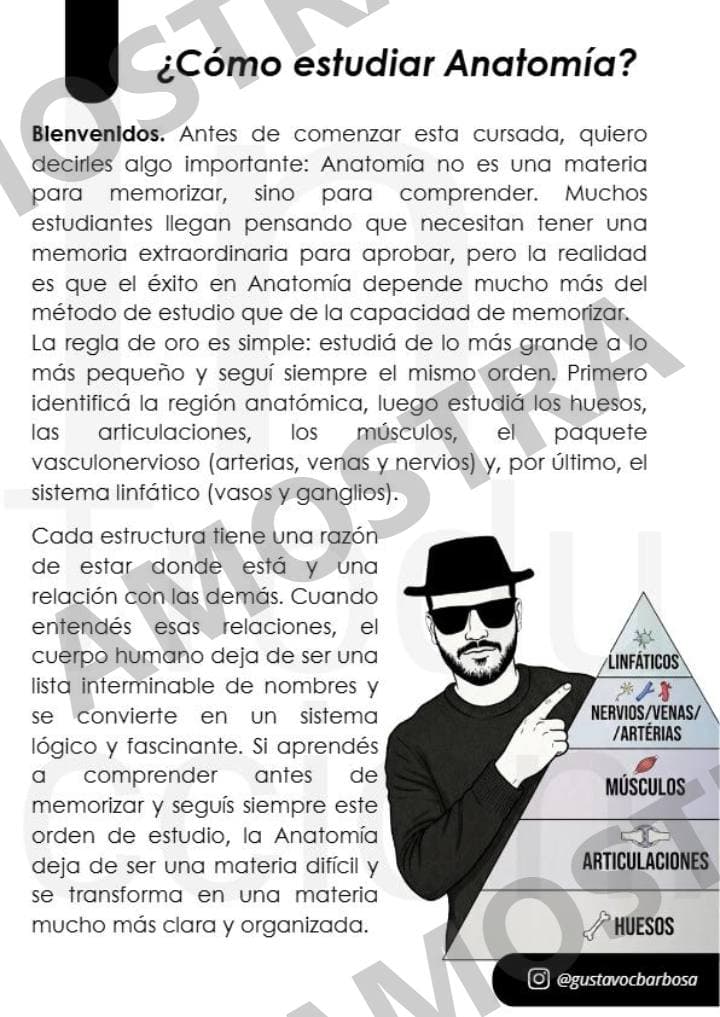 Amostra 3 de Resumen de Anato I (Tórax - Cuello - Miembros Superiores)